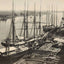 Savannah River in 1904 Vintage Print (7 Sizes) - Premium Quality