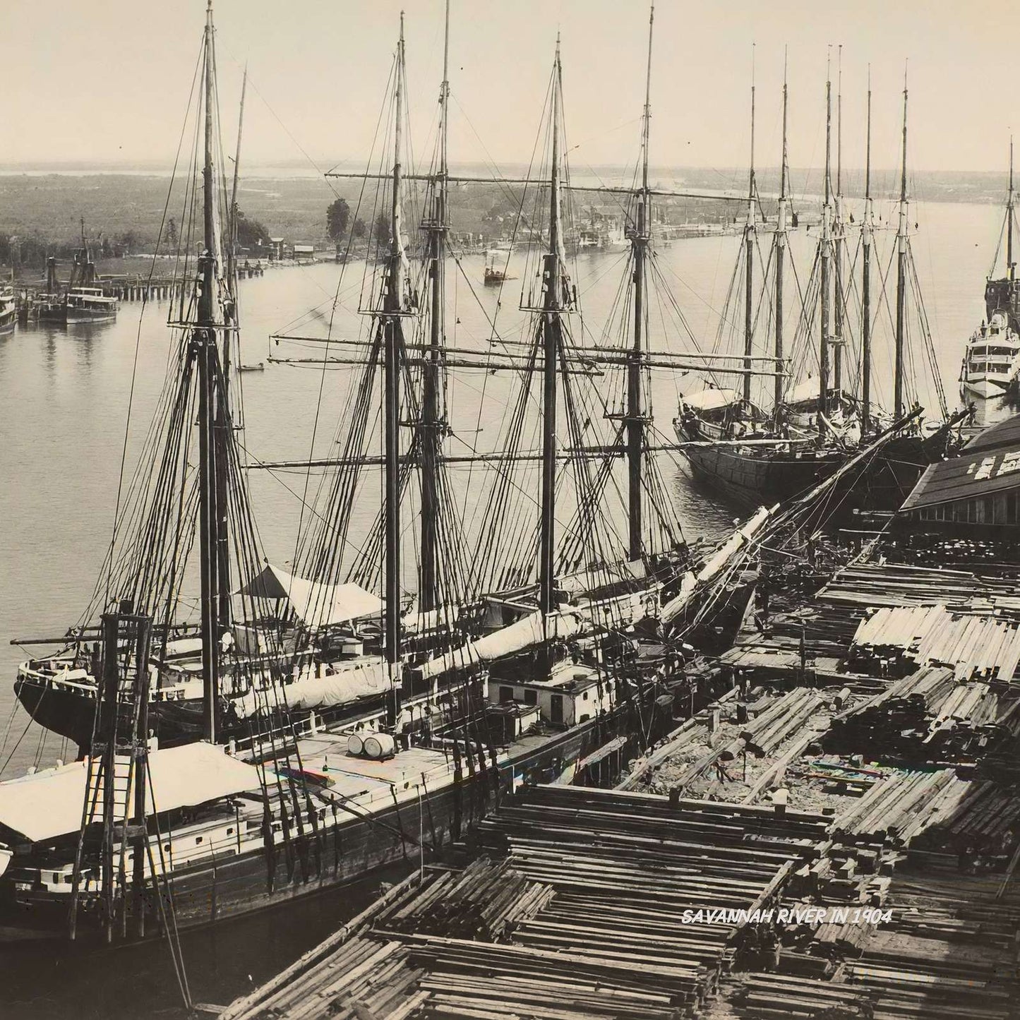 Savannah River in 1904 Vintage Print (7 Sizes) - Premium Quality