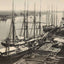 Savannah River in 1904 Vintage Print (7 Sizes) - Premium Quality