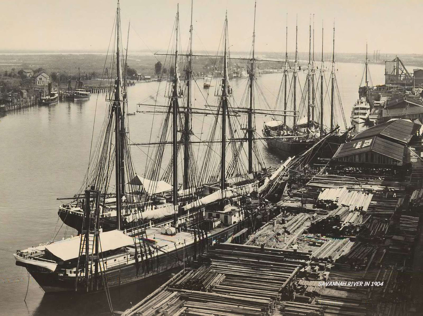 Savannah River in 1904 Vintage Print (7 Sizes) - Premium Quality