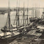 Savannah River in 1904 photo print