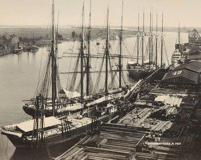 Savannah River in 1904 photo print
