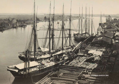 Savannah River in 1904 Vintage Print (7 Sizes) - Premium Quality