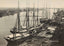 Savannah River in 1904 Vintage Print (7 Sizes) - Premium Quality