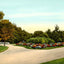 Scene in Wade Park Cleveland in 1907 Vintage Print (7 Sizes) - Retouched