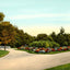 Scene in Wade Park Cleveland in 1907 Vintage Print (7 Sizes) - Retouched