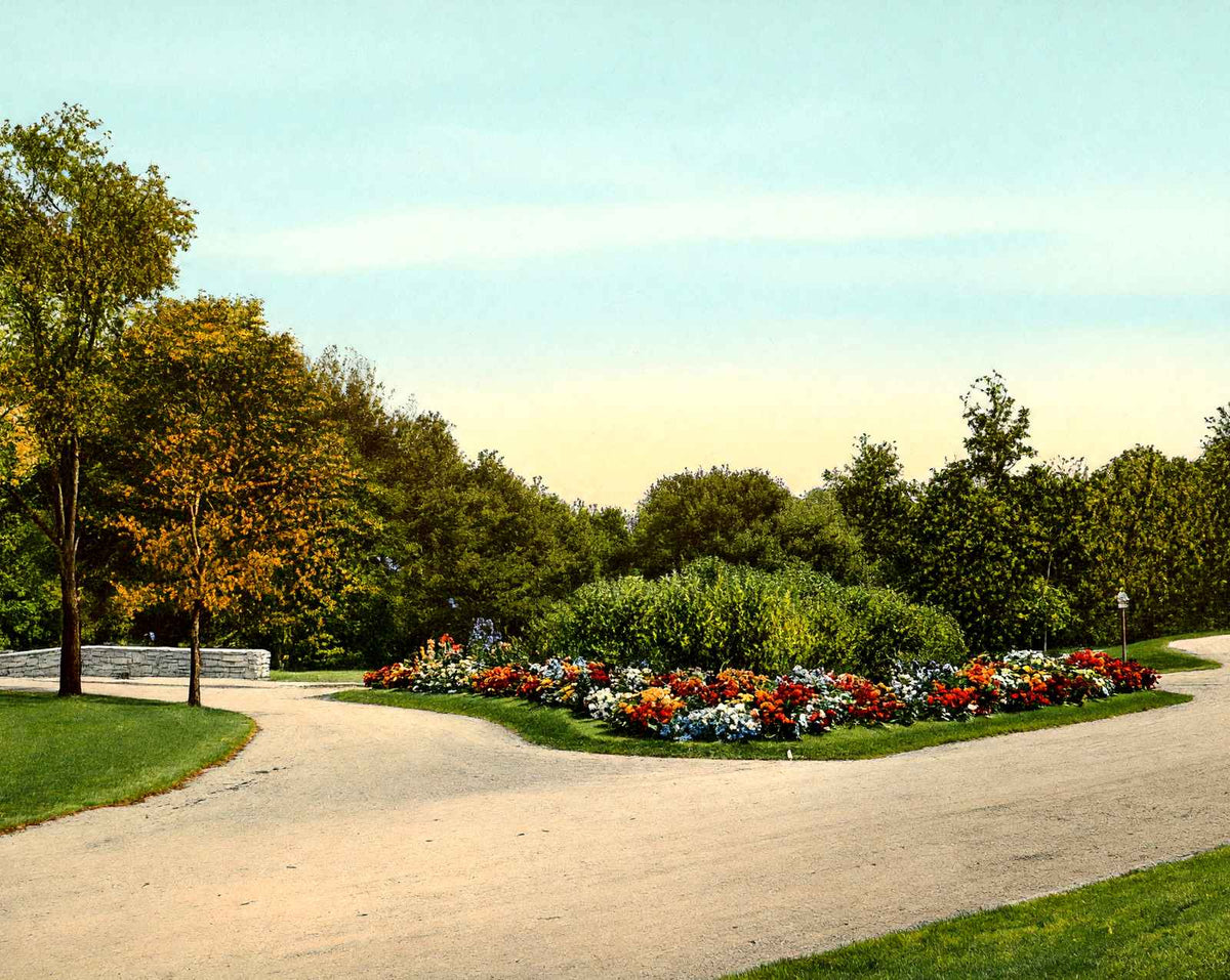 Scene in Wade Park