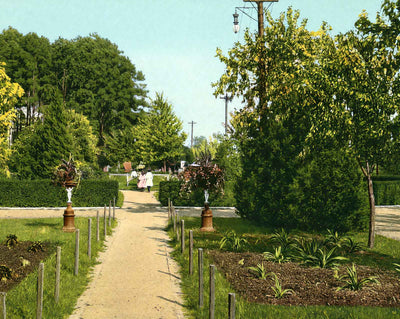 Scene in Lafayette Park