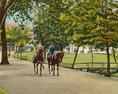 Scene in City Park