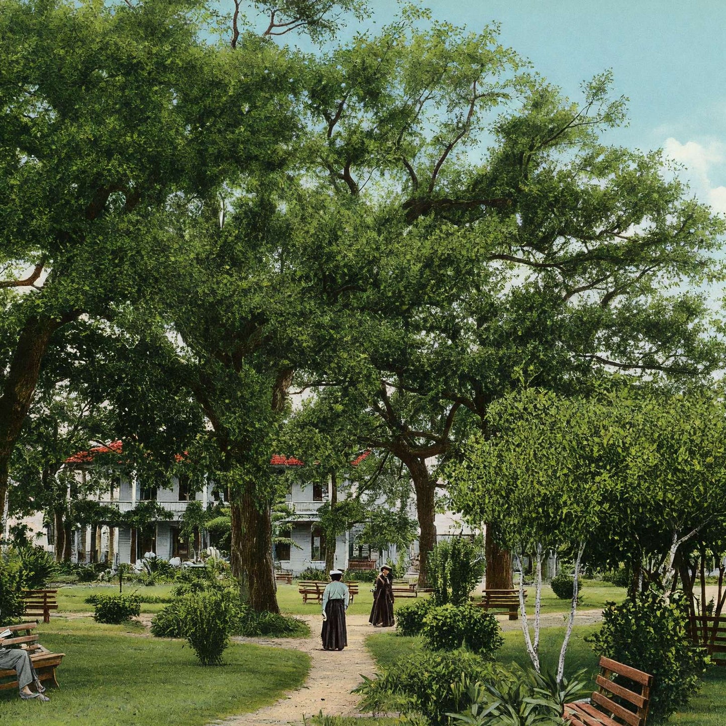 Scene in Sam Houston Park Houston in 1907 Vintage Print (7 Sizes)