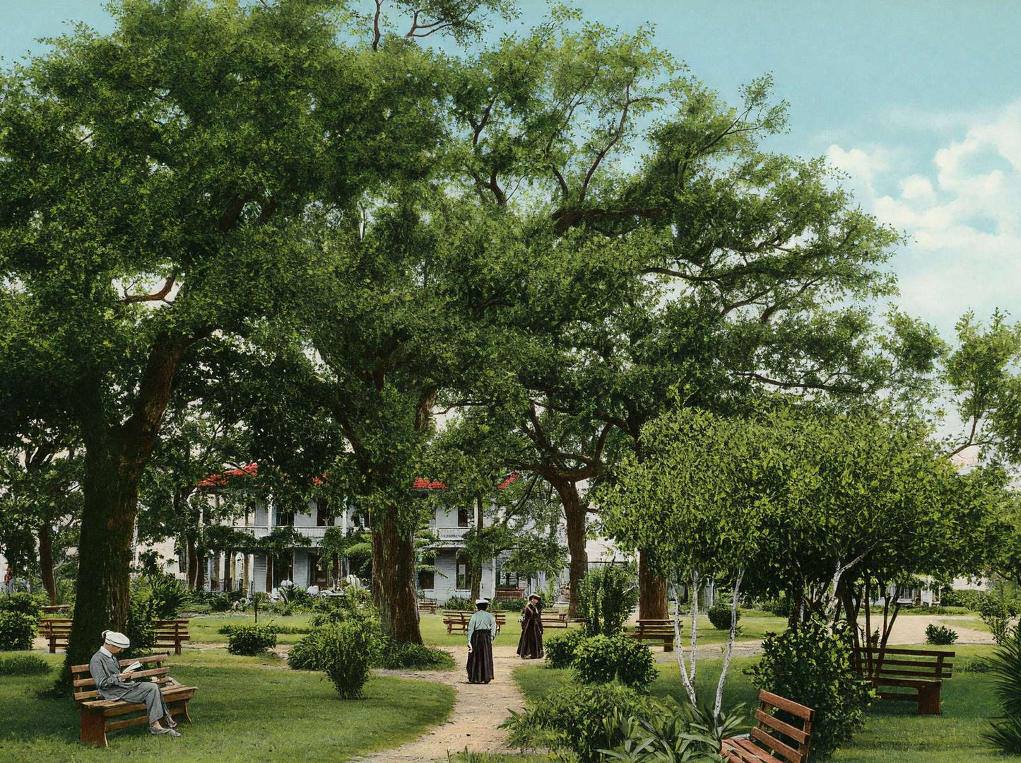 Scene in Sam Houston Park Houston in 1907 Vintage Print (7 Sizes)