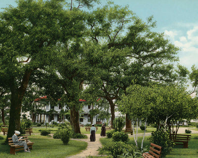 Scene in Sam Houston Park