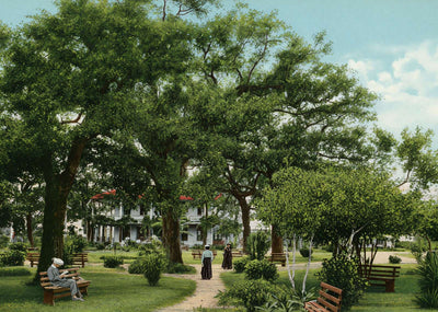 Scene in Sam Houston Park Houston in 1907 Vintage Print (7 Sizes)