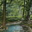 Shady Nook Cherokee Park Louisville in 1907 Vintage Print (7 Sizes) - Acid Free