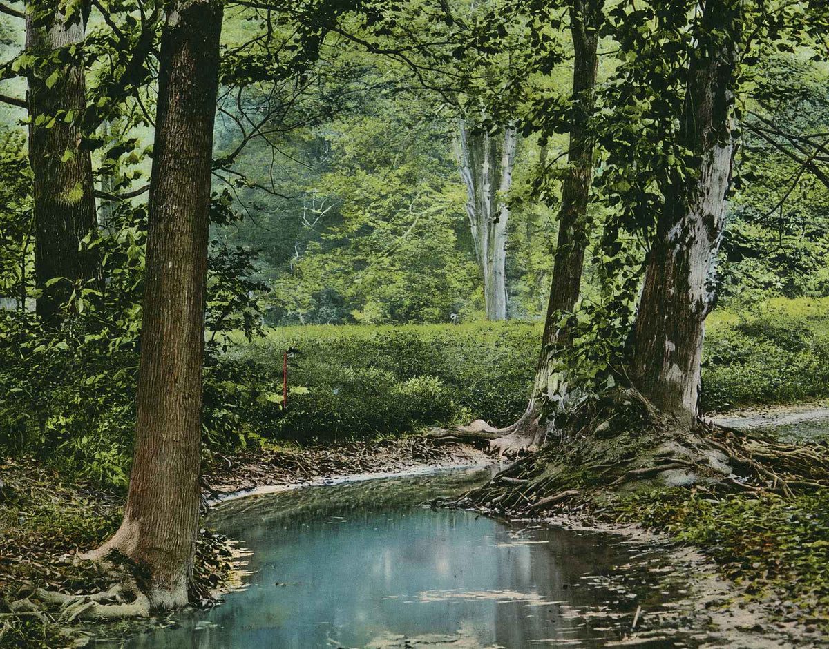 Shady Nook Cherokee Park Louisville in 1907 Vintage Print (7 Sizes) - Acid Free