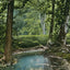 Shady Nook