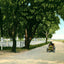 Shell Road at Frascati Mobile Alabama in 1906 Vintage Print (7 Sizes)