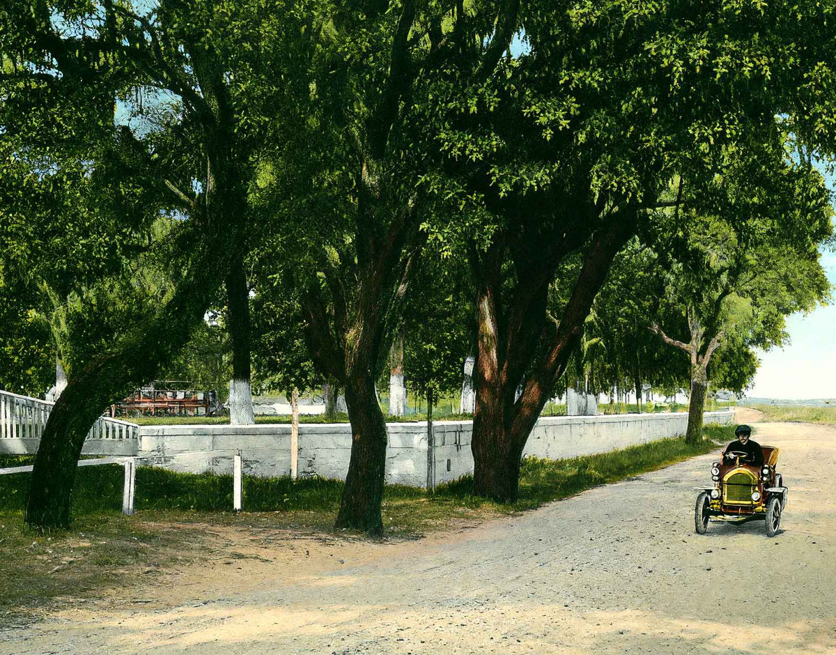 Shell Road at Frascati Mobile Alabama in 1906 Vintage Print (7 Sizes)