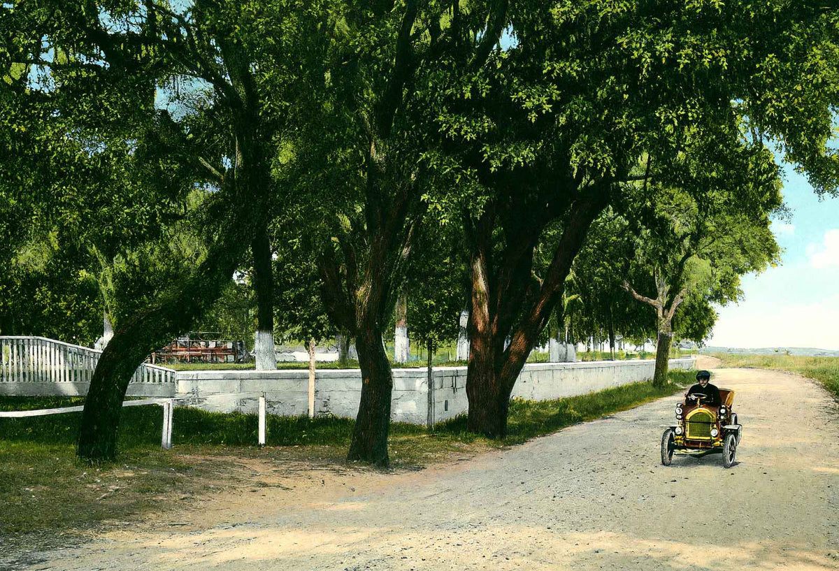 Shell Road at Frascati Mobile Alabama in 1906 Vintage Print (7 Sizes)