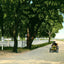 Shell Road at Frascati Mobile Alabama in 1906 Vintage Print (7 Sizes)