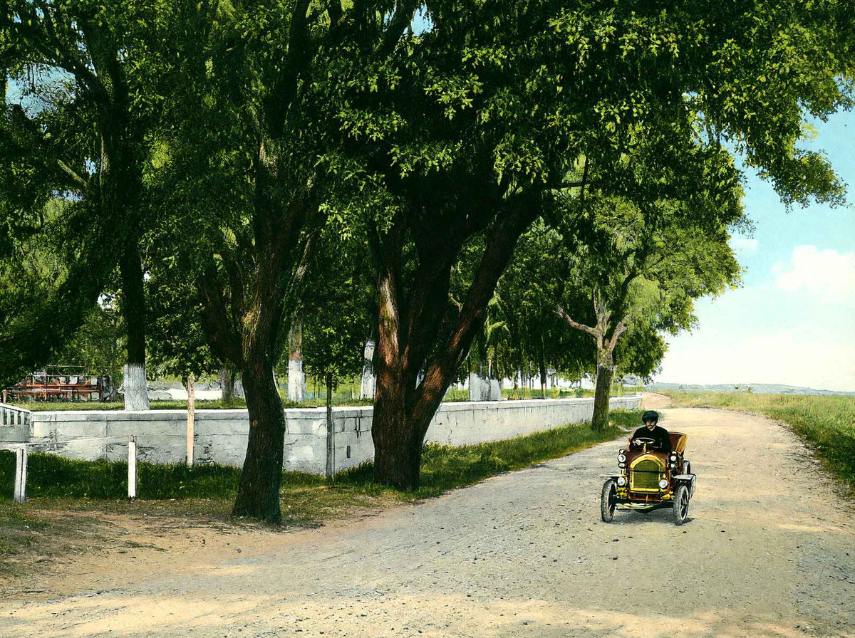Shell Road at Frascati Mobile Alabama in 1906 Vintage Print (7 Sizes)