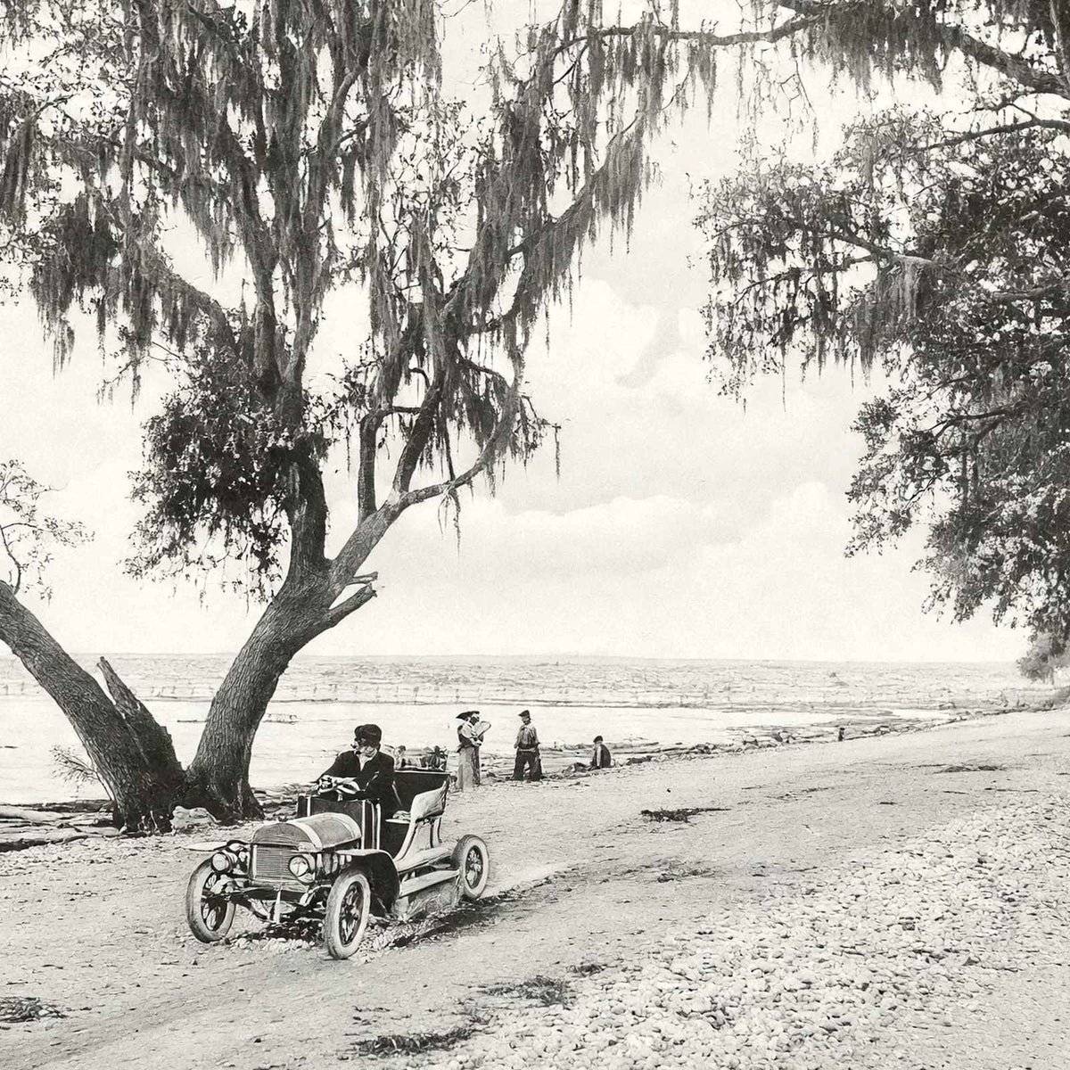 Shell Road Mobile Alabama in 1907 Vintage Photo Print (7 Sizes) - Reproduction