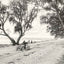 Shell Road Mobile Alabama in 1907 Vintage Photo Print (7 Sizes) - Reproduction