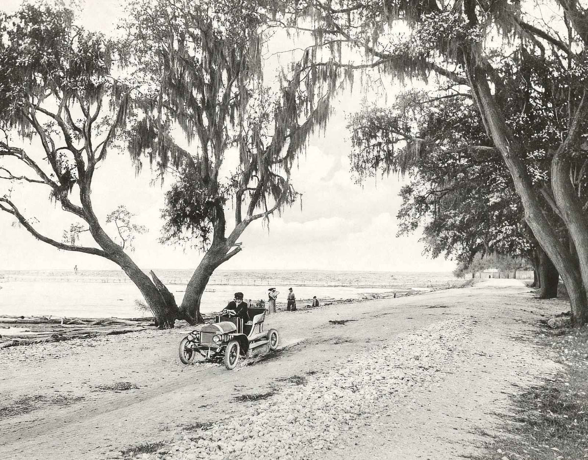 Shell Road Mobile Alabama in 1907 Vintage Photo Print (7 Sizes) - Reproduction