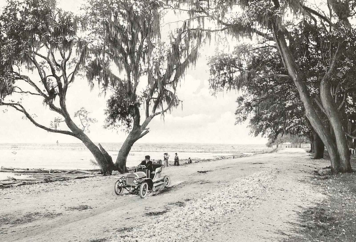 Shell Road Mobile Alabama in 1907 Vintage Photo Print (7 Sizes) - Reproduction