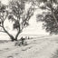 Shell Road Mobile Alabama in 1907 Vintage Photo Print (7 Sizes) - Reproduction
