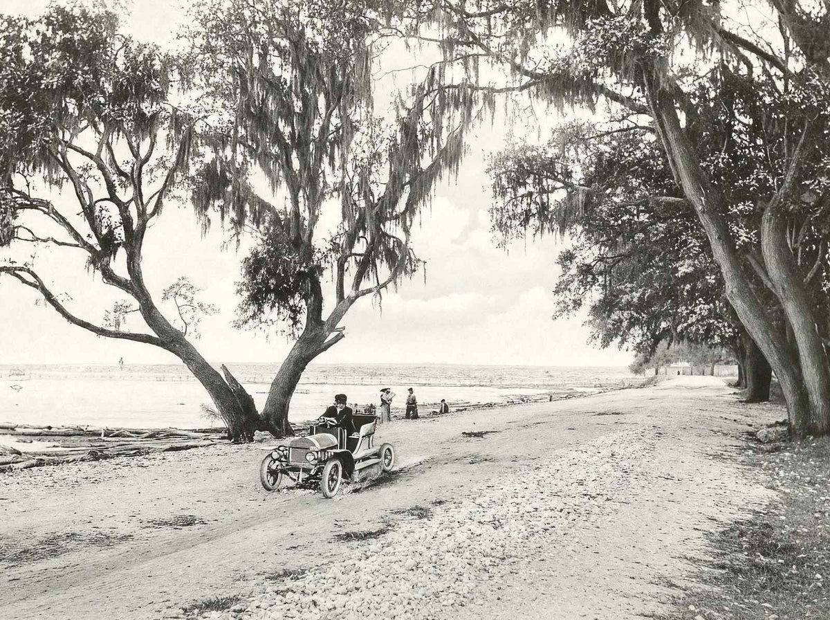 Shell Road Mobile Alabama in 1907 Vintage Photo Print (7 Sizes) - Reproduction