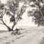 Shell Road