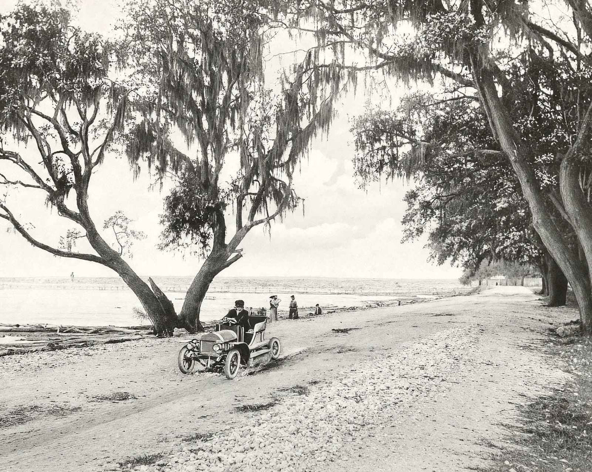 Shell Road