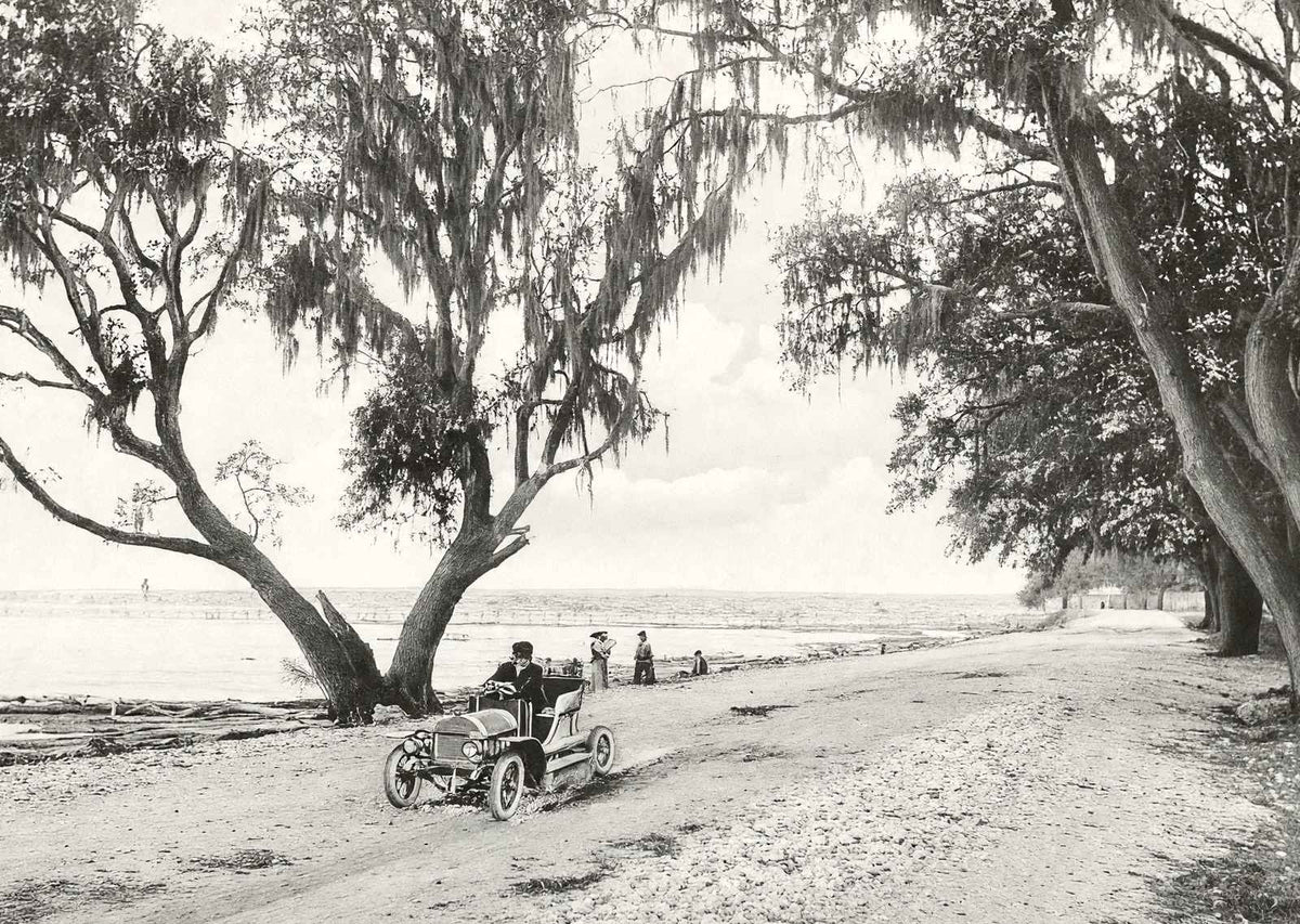 Shell Road Mobile Alabama in 1907 Vintage Photo Print (7 Sizes) - Reproduction
