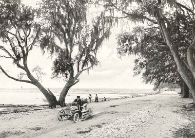 Shell Road Mobile Alabama in 1907 Vintage Photo Print (7 Sizes) - Reproduction