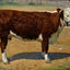 Short Horn Texas Cow in 1906 Art Print (7 Sizes) - Enhanced