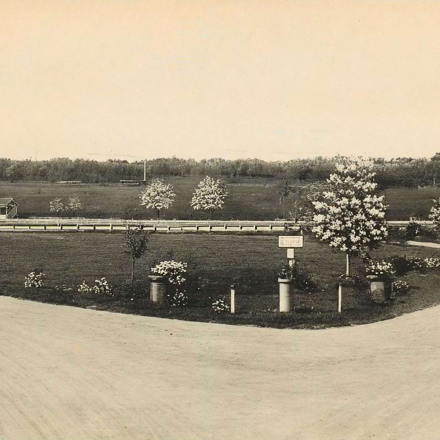 Sibley Park and Race Track Mankato MN in 1907 Vintage Print (7 Sizes)