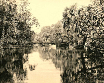 Silver Springs