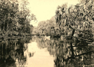Silver Springs Florida in 1907 Vintage Print (7 Sizes) - Reproduction