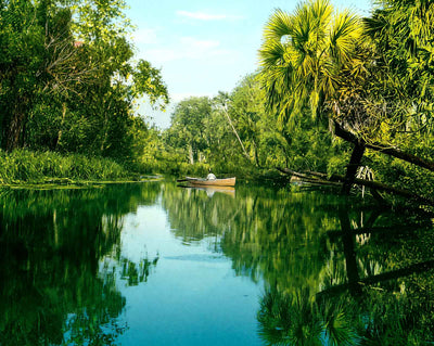 Silver Springs