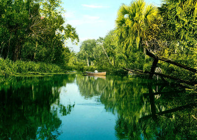 Silver Springs FL in 1907 Vintage Print (7 Sizes) - Enhanced