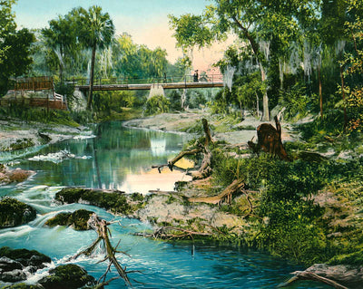 Six Mile Creek in Tampa in 1905 vintage print