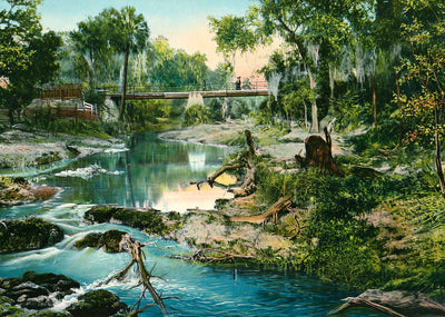 Six Mile Creek Tampa FL in 1905 Vintage Print (7 Sizes) - Enhanced