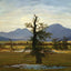 Solitary Tree 1822 Painting by Caspar David Friedrich Art Print (6 Sizes)