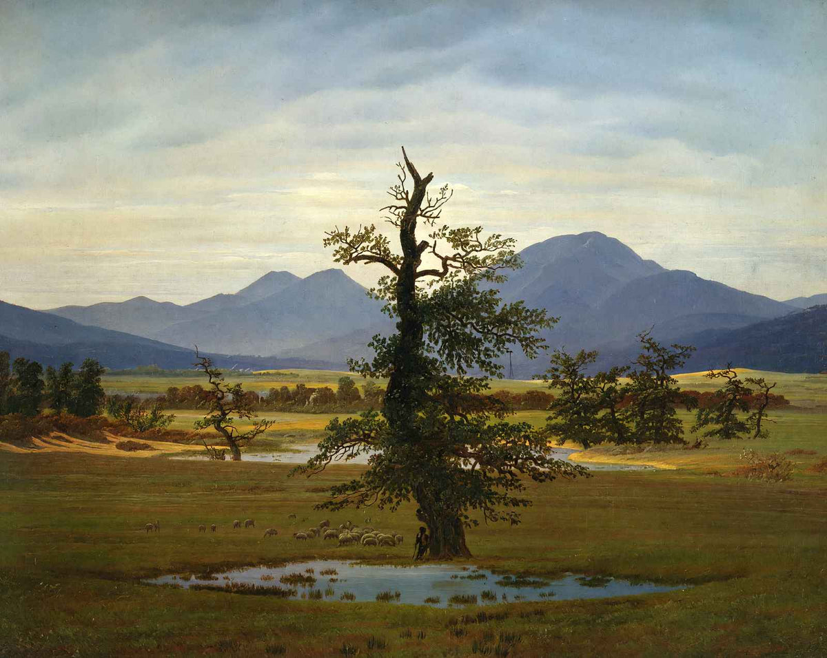 Solitary Tree art print by Caspar David Friedrich (1822)
