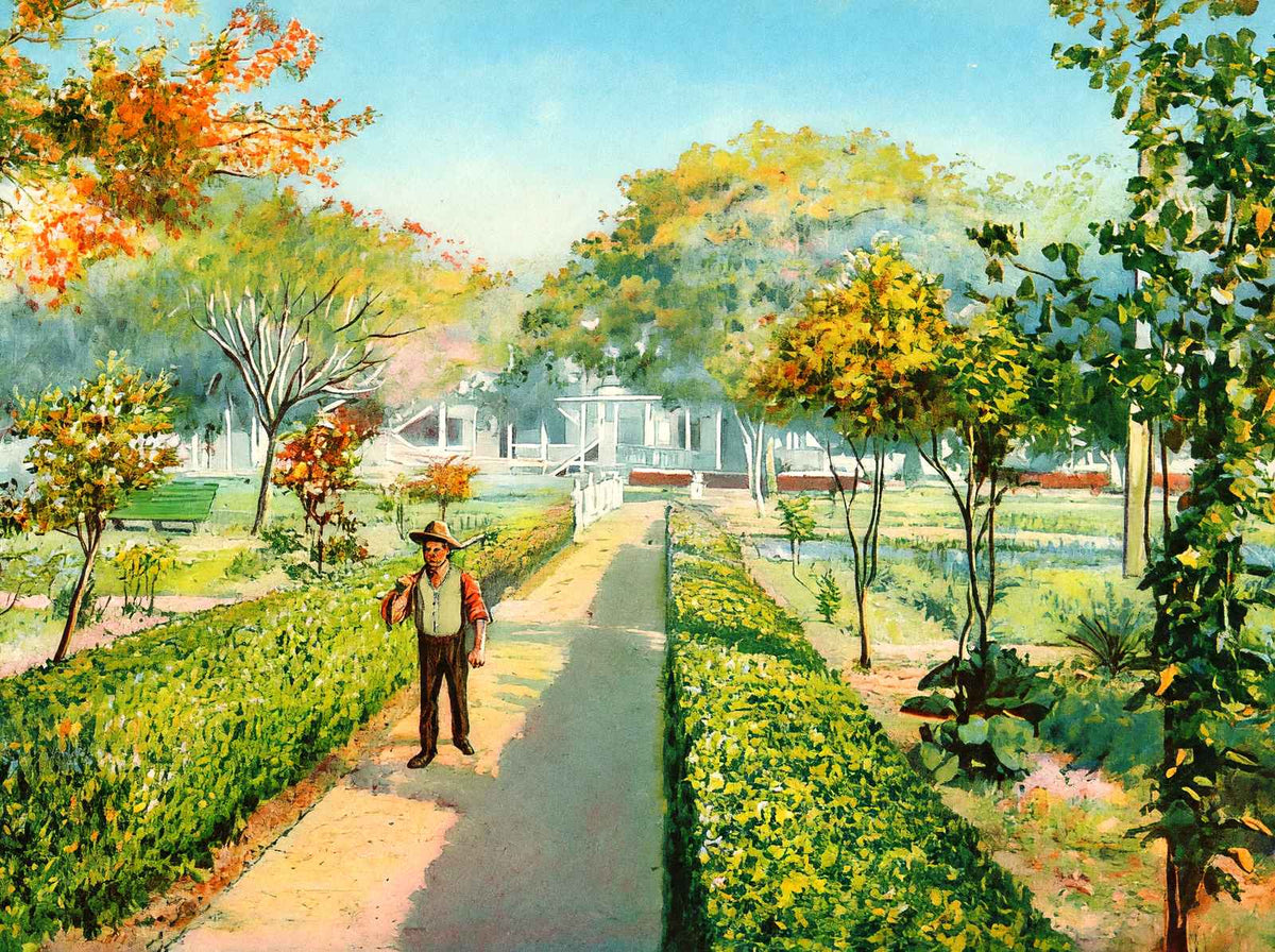 Soldiers Home New Orleans in 1907 Vintage Print (7 Sizes) - Enhanced
