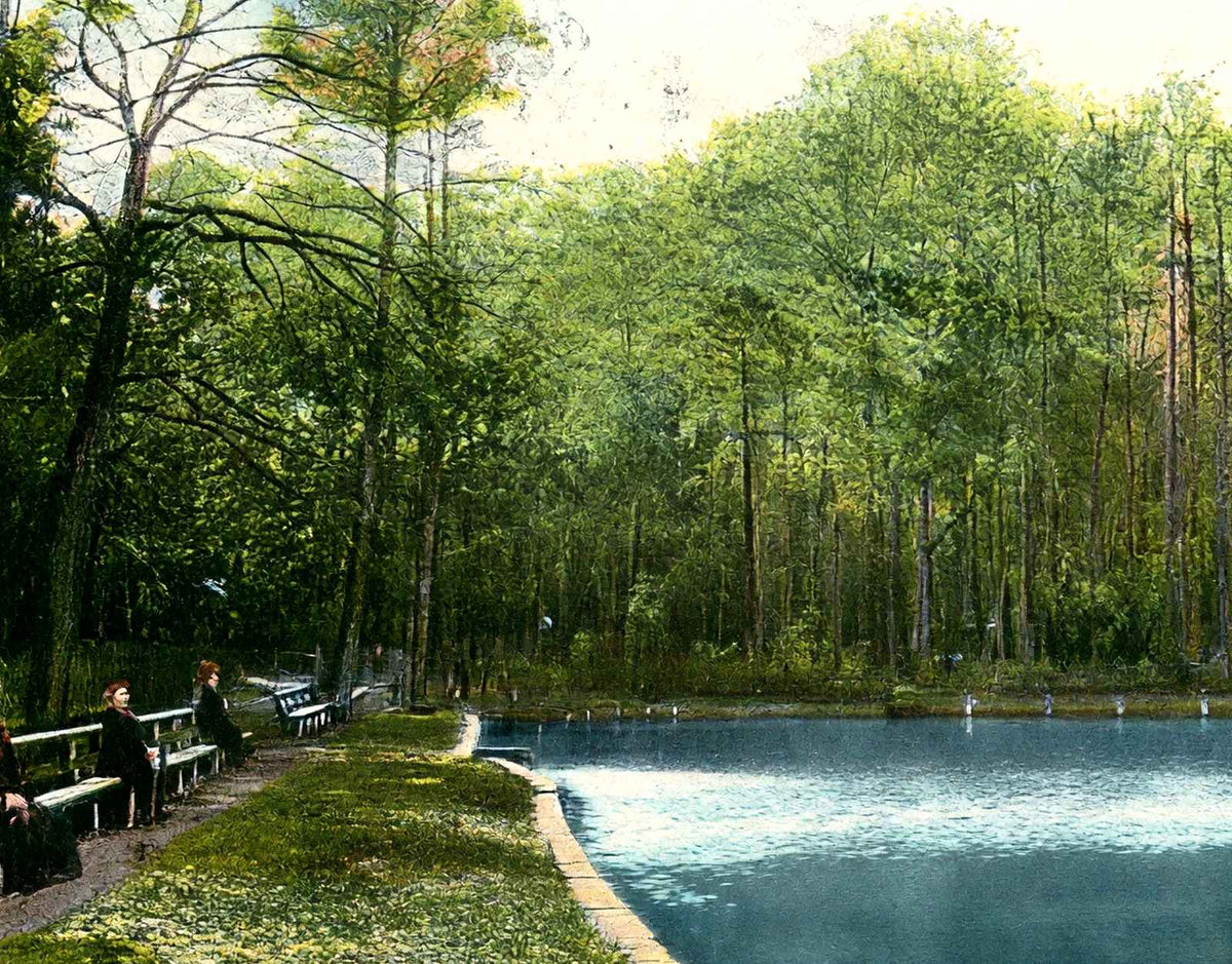 Spring Hill College Lake Mobile Alabama in 1906 Vintage Print (7 Sizes)