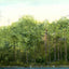 Spring Hill College Lake Mobile Alabama in 1906 Vintage Print (7 Sizes)
