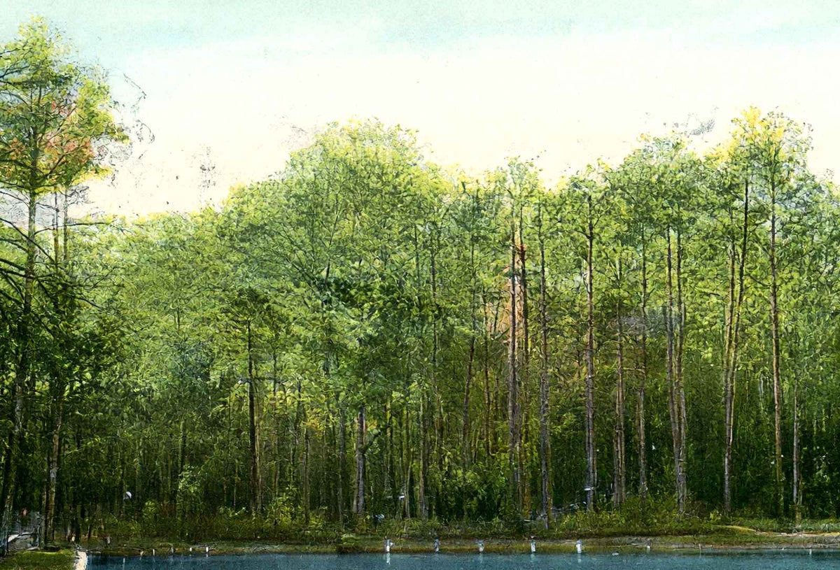Spring Hill College Lake Mobile Alabama in 1906 Vintage Print (7 Sizes)