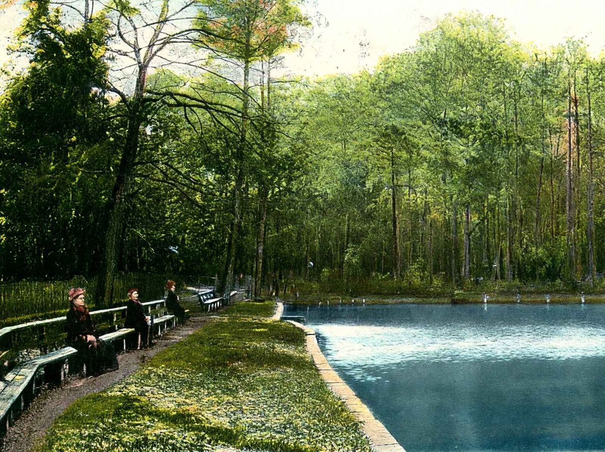 Spring Hill College Lake Mobile Alabama in 1906 Vintage Print (7 Sizes)